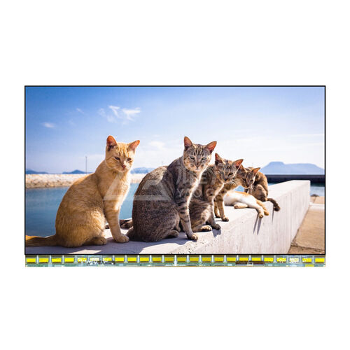 Tin tức công ty mới nhất về BOE: Nhà sản xuất màn hình LCD lớn nhất Trung Quốc