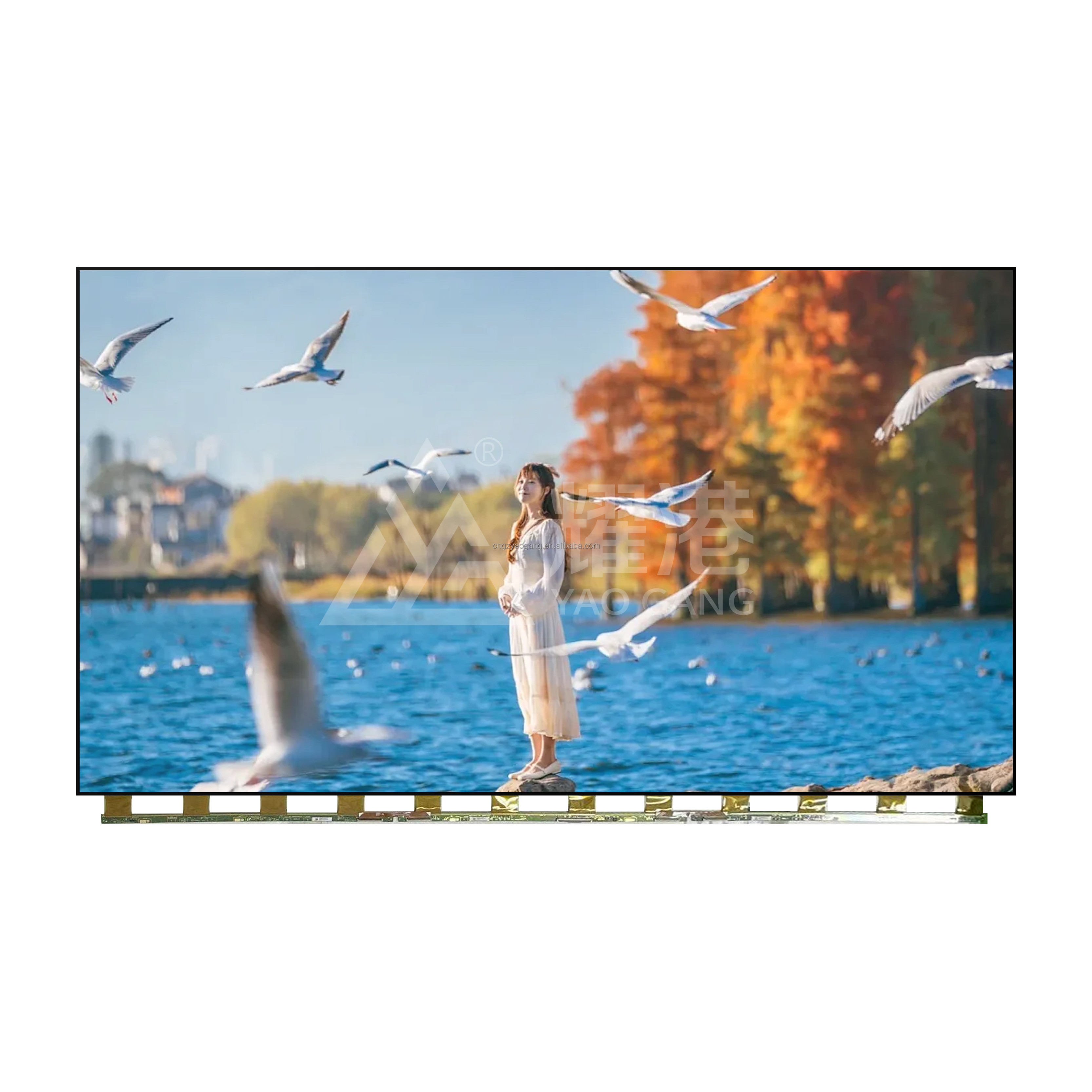 Samsung LCD Open Cell Panel 65 Inch LSF650FN14-R02-20Y-VUN For Broken TV